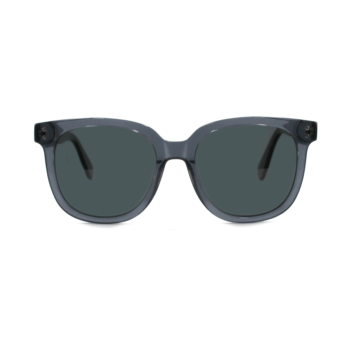 Shades X - Polarized Sunglasses | Model 29005