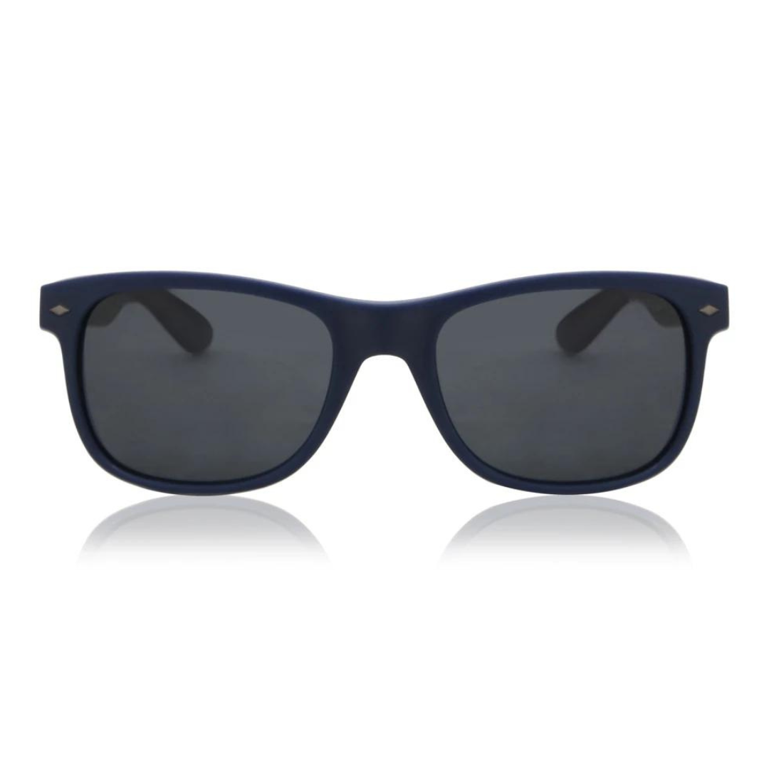 Polaroid Sunglasses | Polarized | Model PLD1015